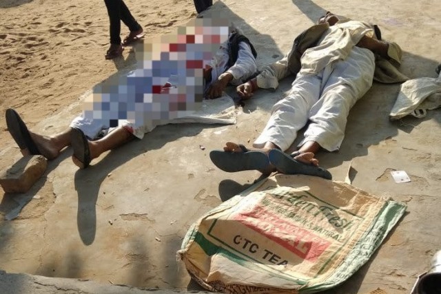 single-page-img